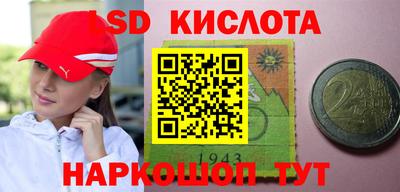 крисы Кингисепп