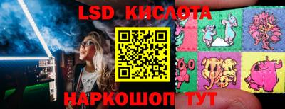 крисы Кингисепп