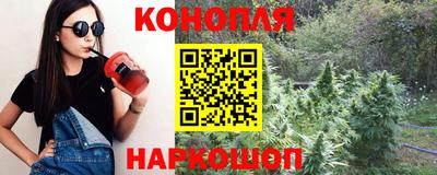 крисы Кингисепп