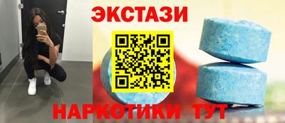 крисы Кингисепп