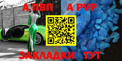 крисы Кингисепп