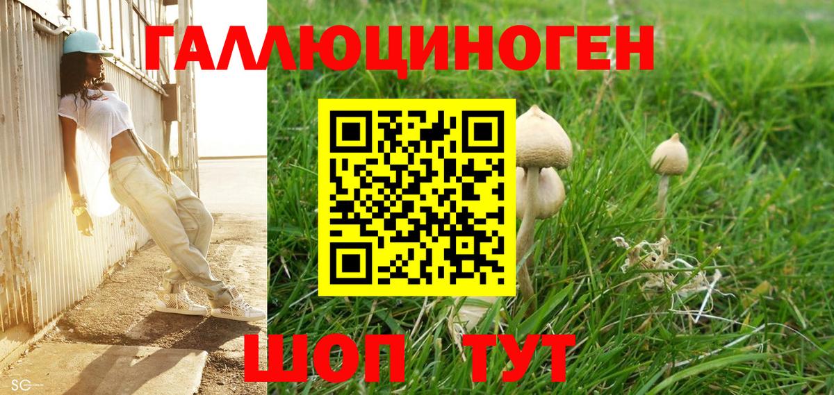 Псилоцибиновые грибы мицелий Верхняя Салда
