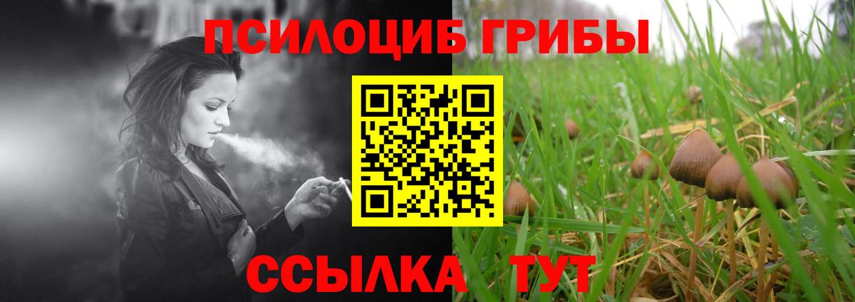 Верхняя Салда  Псилоцибиновые грибы прущие грибы  Вход с VPN 